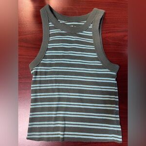 Aerie Green and Blue Striped Ribbed Top